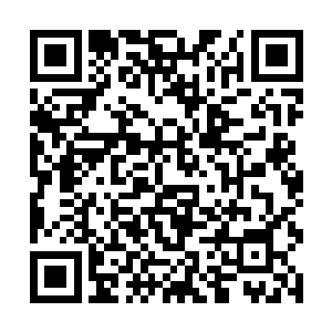 一阵阵剧烈无比的轰鸣声忽然从雨林的深处传了出来二维码生成