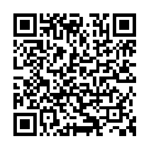 一阶武宗的实力却释放出了堪比武王的攻击效果二维码生成