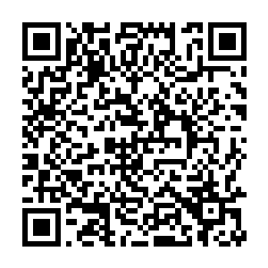 一黑一白两道身影如蹁跹蝴蝶一样在如同迷宫一样从城堡里飞掠穿梭二维码生成