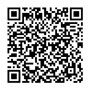 丁为和她父亲等人幼稚的行为莫过于想要在无极门博得更多的利益二维码生成