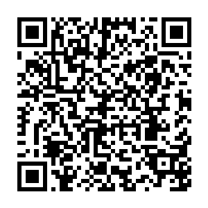 丁二狗一脸无辜的转过脸来看着怒气冲冲的苗苗和一脸紧张的傅品千二维码生成