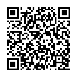 丁羽拿回来的钱都已经被用在了各自的用途上面二维码生成