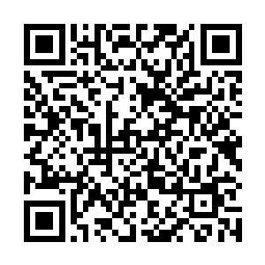 丁羽还真的就没有要跟自己的这位爷爷相互交流的意思二维码生成