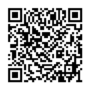 丁羽这个家伙还真的就不是一般的冷血和残酷呀二维码生成