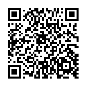 丁羽这边倒是给自己的父亲丁林和母亲赵淑英打了电话过去二维码生成