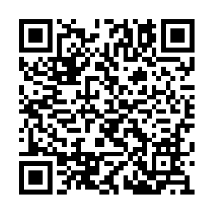 丁蕴也是把黑心小棉袄的体质给表现的淋漓尽致二维码生成