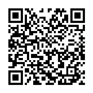 丁长生在路边的绿化带放了一通水后舒服的抖了抖说道二维码生成