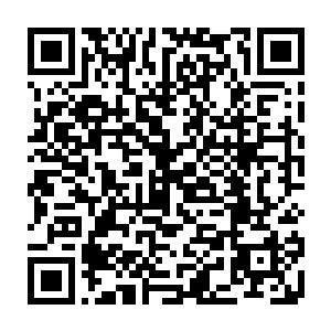 丁长生就像是一只狸猫一样匍匐在墙头上慢慢的向那亮着灯光的地方爬去二维码生成