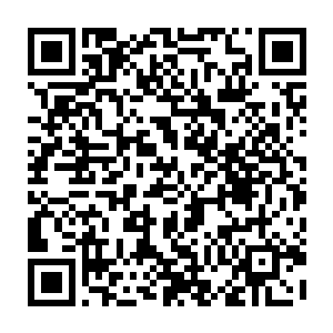 七嘴八舌地将早上林烽和教官黑魁发生的冲突以及打赌的内容给复述了一遍二维码生成