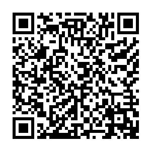 七大支柱……好像哪个地方没几个百年大族世界知名企业的就不好意思见人似的二维码生成
