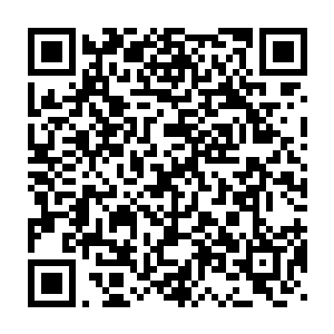 七层宝塔之内的董依依等人依靠着一种暴力提升修为的丹药和秘法二维码生成