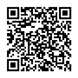 七绝门一直希望能够布置出能够提升晋升几率的阵法二维码生成