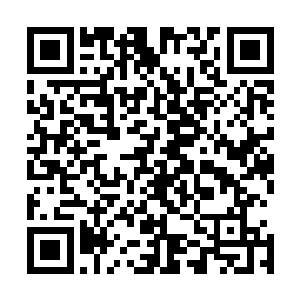 万一他不小心遗失掉一枚筹码的后果……小杨手心开始冒汗二维码生成