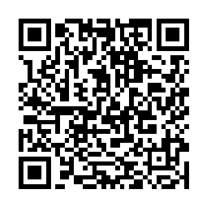 万一有什么毒之类的大家不是一起抱着团儿玩完了么二维码生成