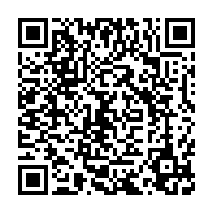 万一这星系的人恼羞成怒本着不属于我就毁灭你的想法暗杀绝世天才二维码生成