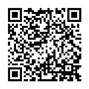 万分感谢琴中之雨同学的两张粉红票感激不尽全文阅读二维码生成