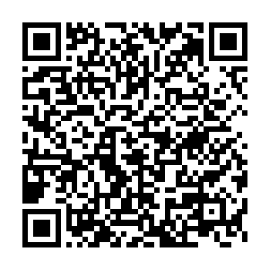 万川流这个从始至终都对代离没什么好感的第二核心弟子此刻皱着眉二维码生成