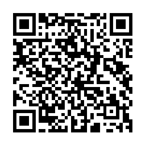 万煞洞洞主和铁鹰妖王不仅被夏云杰一掌给破去了万象境天杀招二维码生成