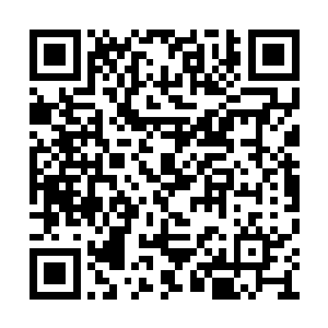 万珍商会此次进入灵墟药谷禁地的几乎所有弟子二维码生成