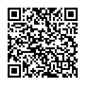 万通公司就算一年一笔医疗设备进口的买卖也没做成二维码生成