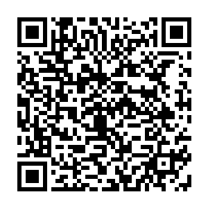 三个人也都是一点都不客气的全部吸收了……倒也是让他们每个人都受益匪浅的二维码生成