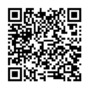 三五个本地安保根本挡不住上百名媒体记者的冲击二维码生成
