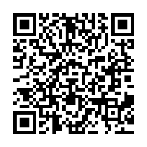 三位妖王以及圣翼古神再一次察觉到了他们和韩风的巨大差距二维码生成