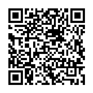 三灵根及双灵根的弟子则要看他们在测试中的表现二维码生成