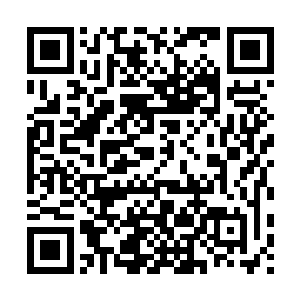 三百年来……路上行人稀少……唯我疯癫痴狂……孑然一身……二维码生成