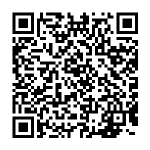 上一次邪公子使用的使用是使用了无数人的生命加上自己的鲜血为引二维码生成
