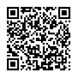 上一部的结局又会对这部影片的角色产生怎样的影响二维码生成