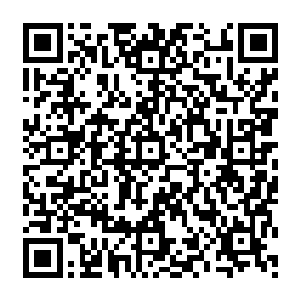 上万平米的小谷更被第一任谷主悄悄融入了一块指甲盖大小的生命原石这样的宇宙奇石二维码生成
