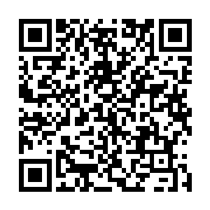 上古丹宗的那一片药田也不过是仙农洞府外围大型药田大小二维码生成