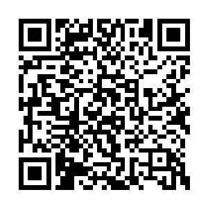 上次他在蓝眼冰狼族的交易灵殿中暴露过多钱财二维码生成
