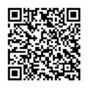 上次他给哮天犬的狗粮足够任何一只狗吃上小半年的二维码生成