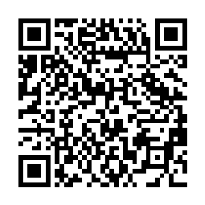 上次在徐家小区里露过面的蒋彪和保镖则一个都没来二维码生成