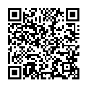 上次在那个神秘空间见到的矮树也和眼前这一刻非常相似二维码生成