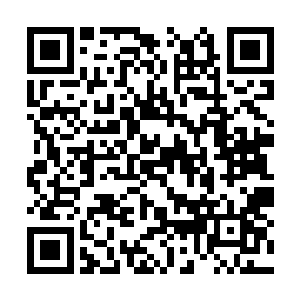 上辈子战斗的一幕幕都是出现在了杨风的脑海里面二维码生成