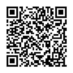 上面便是现今已经成功从荒漠转化成土地的区域二维码生成