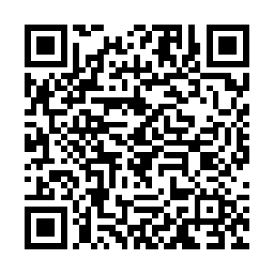 上面播放着专门为这次生日晚宴而拍摄的一些微电影二维码生成