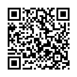 下一刻却是出现在了轮回殿殿主的手掌心中二维码生成