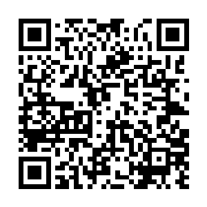 下一刻车库的卷帘门被人从外面呼啦一声推了起来二维码生成