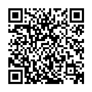 下了海也是由秦方陪同着学习的……于是这小子便动了鬼主意了二维码生成