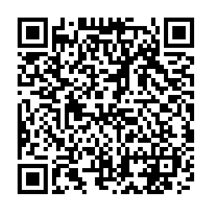 下午时候方寸酒业有限公司就接到了祝南镇镇政府亲自下达的停业整顿通知二维码生成