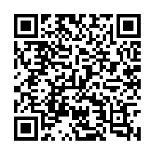下可以和尼日尔南部的尼日利亚恐怖组织连成一体二维码生成
