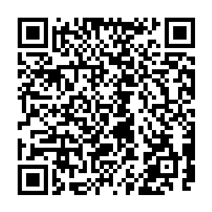下次我去纽约新井的店说不定跟在你的身后就能享受到鱼腮边的那块肉的待遇了二维码生成