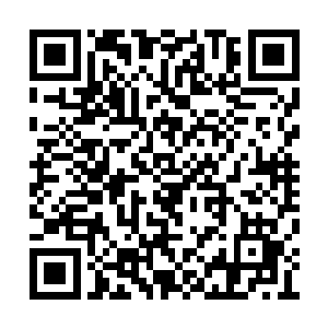 下笔沉稳地为一根笔挺的竹子加上了翠绿的叶子二维码生成