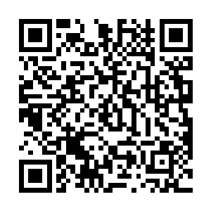 不……不是窝杀的……南岳帝不是窝杀的……你冤枉窝二维码生成