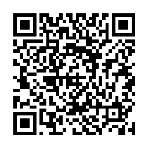 不……我的理解是……它或许只是一个类似权杖的象征二维码生成