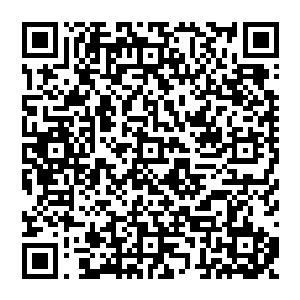 不 我沒败 我不能输 我有僵尸的至尊尸王血脉 还有众多的人等着我去唤醒 我怎么能败 二维码生成